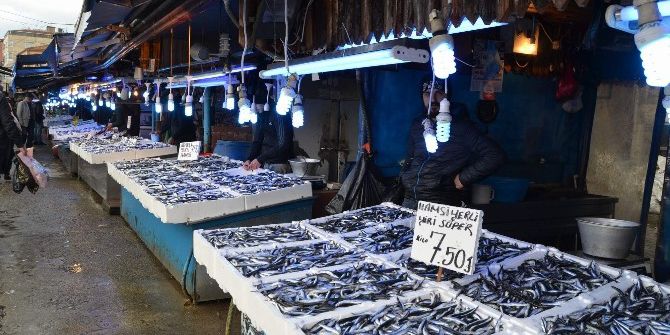Hamsi Fiyatıyla Şaşırtmaya Devam Ediyor