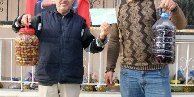 Dolar Bozdurana Yarım Ton Zeytin Bedava