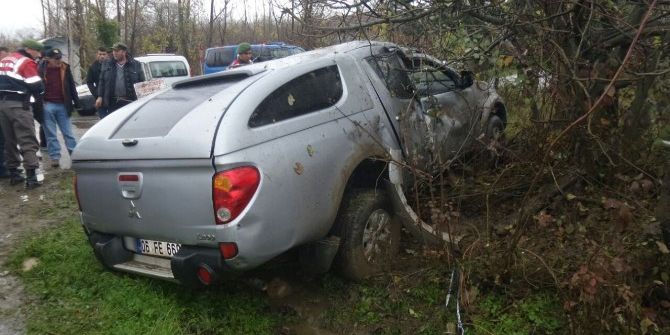 Sinop’ta Pikap Ağaca Çarptı: 1 Yaralı