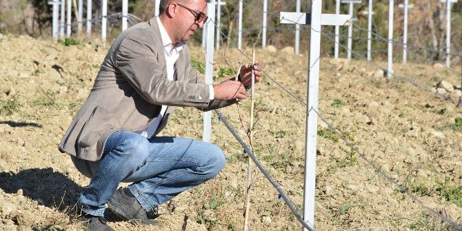 Büyükşehir Belediyesi’nden 2 Bölgeye ’Telli Terbiye Sistemi’