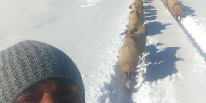 Antalya’da 2 Çoban Ve 400 Koyunun Kar Esareti Mutlu Sonla Bitti