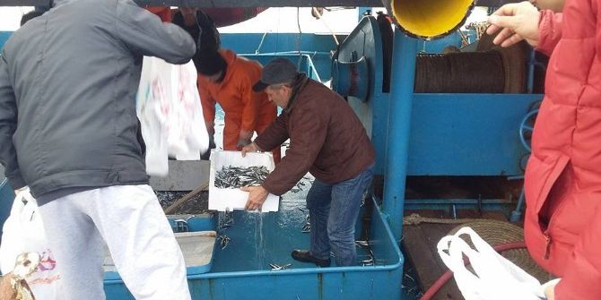 Balıkçılar İstavritin Torbasını 5 Tl’den Sattı