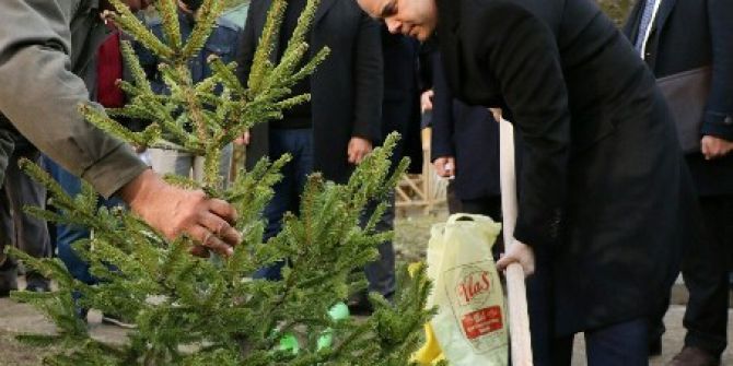 Gençlik Ve Spor Bakanlığı’ndan 5 Yılda 1 Milyon Fidan