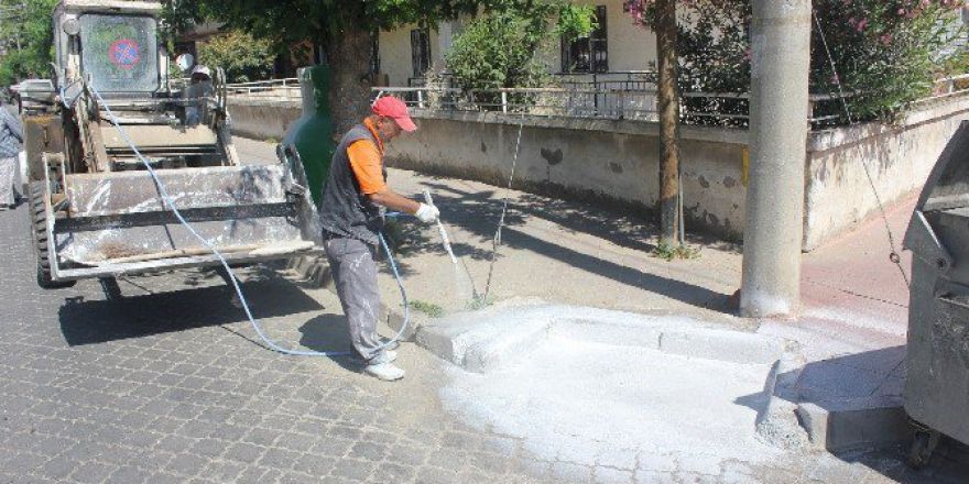 Konteynerler Temizleniyor