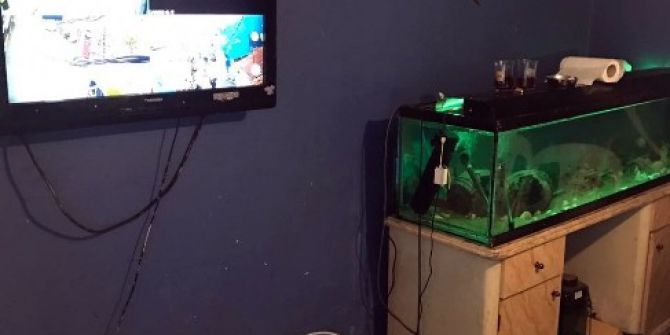 Polisi Gözetlemek İçin Kamera Sistemi Kuran Uyuşturucu Tacirleri Kamerada