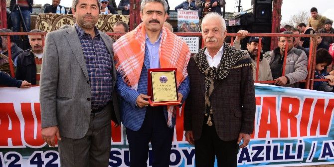 Nazilli’de Develer Şehit Aileleri Yararına Güreşti