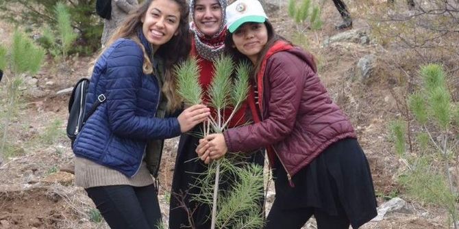 Aydın Kyk Ormanları Yeşeriyor