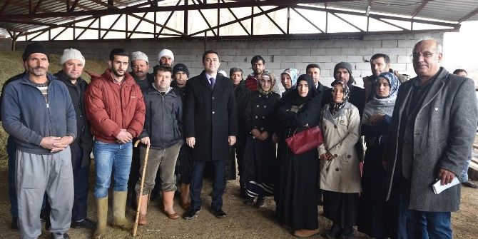 Genç Çiftçilere Hayvancılık Desteği