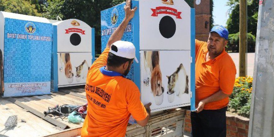 Turgutlulu Ekmeğini Canlarla Paylaşıyor