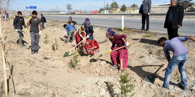 10 Yılda 2 Buçuk Milyon Fidan Toprakla Buluştu