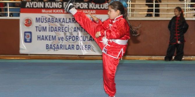 Wushu - Kung Fu Festivali Aydın’da Göz Kamaştırdı
