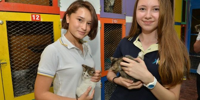 Konyaaltı Barınağını 11 Ayda 2 Bin 640 Kişi Ziyaret Etti