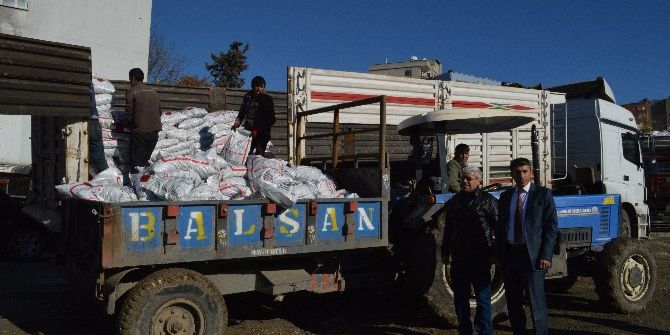 Şırnak’ta 9 Bin Aileye 9 Bin Ton Kömür Dağıtılıyor