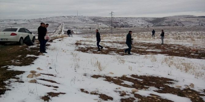 Zile’de Yaban Hayvanları İçin Doğaya Yem Bırakıldı