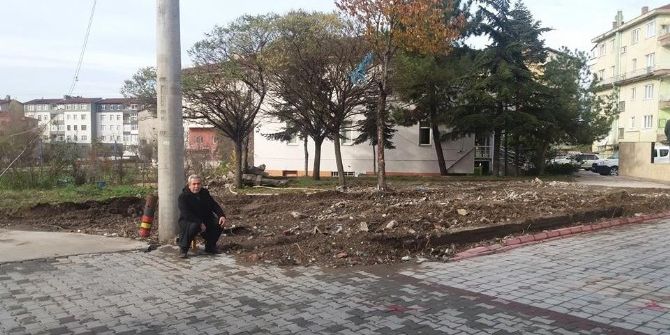 Gülüç Belediyesi Çevre Düzenleme Çalışmalarını Sürdürüyor