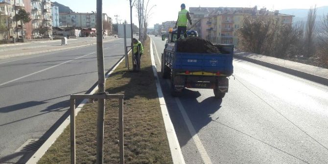 Çankırı’daki Parklara Doğal Gübre