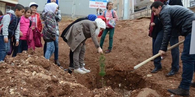 Genç Gönüllüler Okul Bahçesine Ağaç Dikti