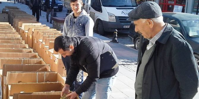 Selendi’de Tütün Tespitleri Başladı