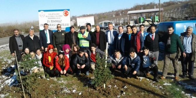 Demokrasi Şehitleri Hatıra Ormanı