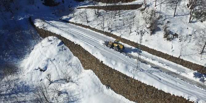 Trabzon’da Karla Mücadele Çalışmaları