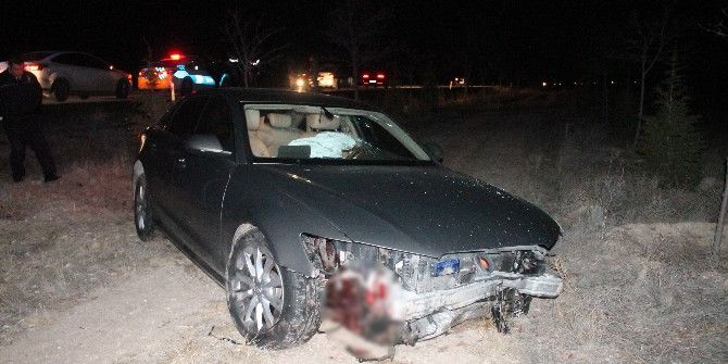 Başkan’ın Makam Aracı Domuz Sürüsüne Çarptı