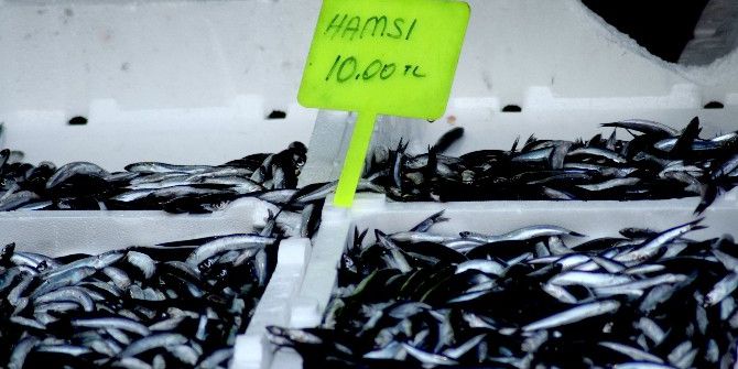 Giresunlu Balıkçılar Palamut İle Sevindi, Hamsi İle Üzüldü