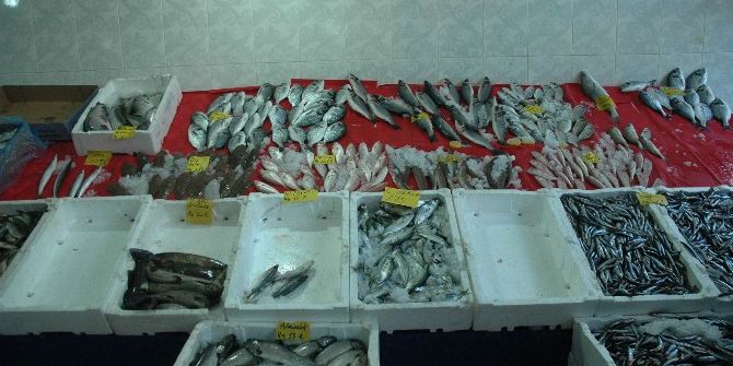 Van’da Balık Tezgahları Boş Kaldı