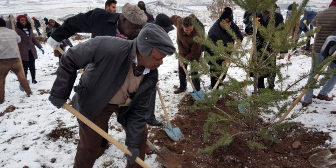 Afrika Ülkelerinin Büyükelçileri Keçiören’de Ağaç Dikti