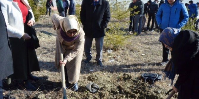 Lise Öğrencileri 15 Temmuz Şehitleri Anısına Ağaç Dikti