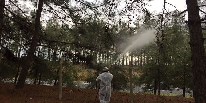 Ormanlarının En Büyük Düşmanı Çam Kese Böceğine İlaçlı Tedbir