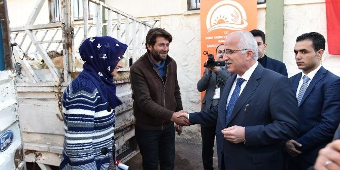 Vali Tuna: “Şanlıurfa Hayvancılıkla Da Öne Çıkacak”