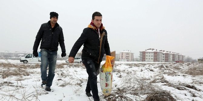 Bolu’da Sokak Hayvanları İçin Mama Bırakıldı