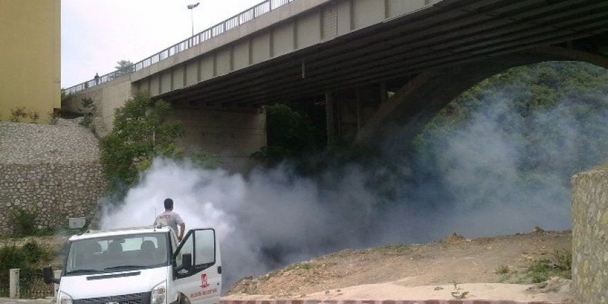 Bilecik Belediyesi’nden Kümes Hayvancılığı Yapanlara Uyarı