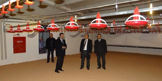 Tarımda Hibe Projelerine Başvuru Süresi Uzatıldı