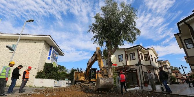 Antik Side’de Kentsel Tasarım Başladı