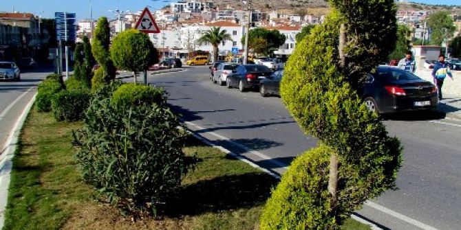 Çeşme’de Ağaçlandırmaya Hız Verildi