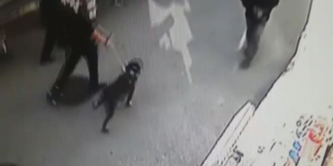 Bursa’da Pitbul Dehşeti Kameralara Böyle Yansıdı...