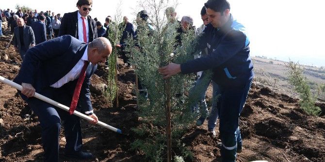 15 Temmuz Kahramanlar Ormanına Fidan Dikildi