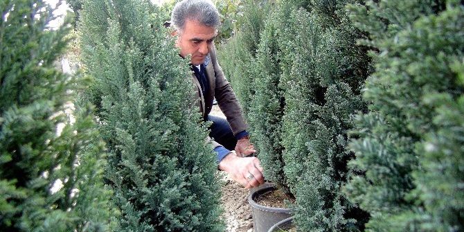 Cumhurbaşkanının Dolarını Bozdur Çağrısına Alın Teriyle Destek