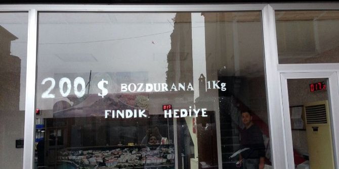 Dolarını Bozdurana Fındık Hediye