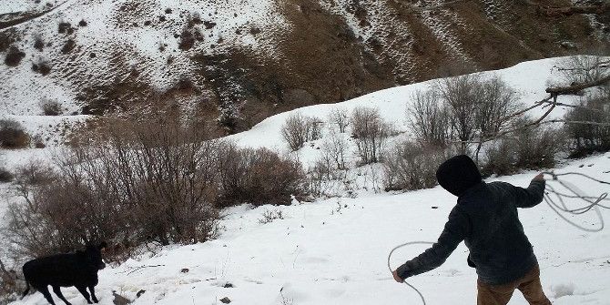 Firari Anguslar Bulundu