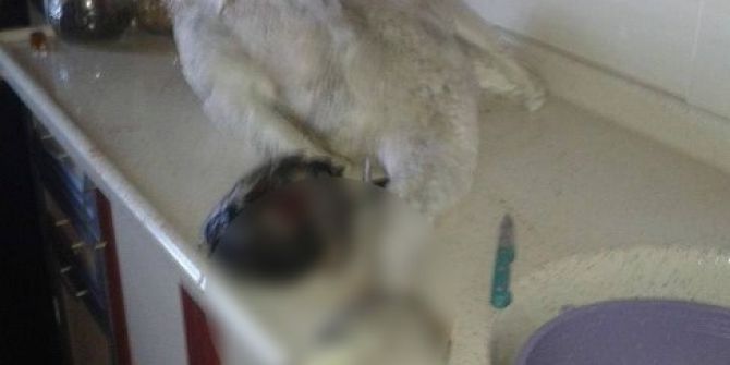 ’Keskin Nişancı’ya Para Cezası