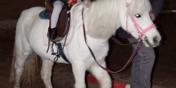 Çocukların Pony Sevinci