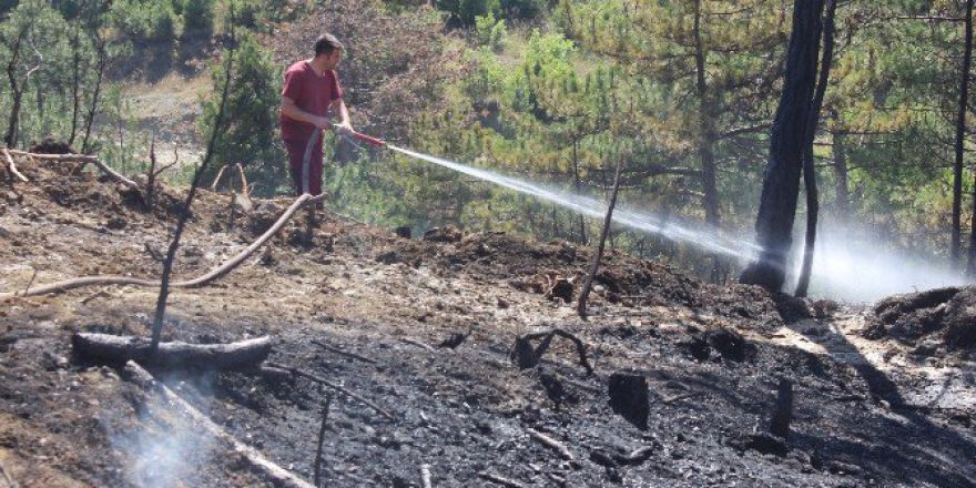 Tavşanlı’da 3 Dekar Ormanlık Alan Yandı