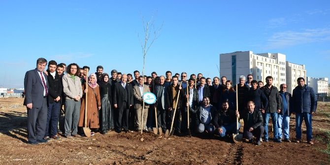 Mühendis Adayları Ağaç Dikti