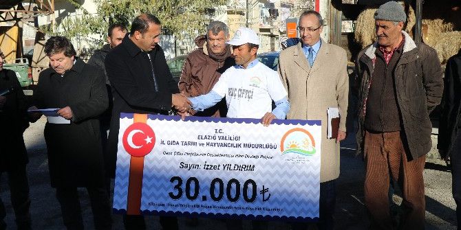 Genç Çiftçilere 120 Adet Koyun Hibesi Verildi