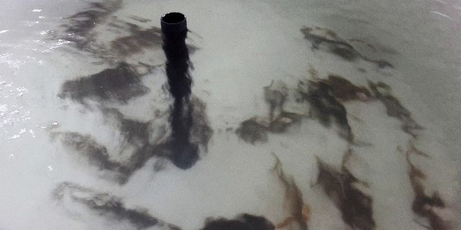 Ar-ge Merkezi, Balıklandırılmaya Başlandı