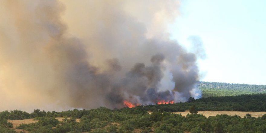 Eskişehir’deki Orman Yangını Kontrol Altına Alındı