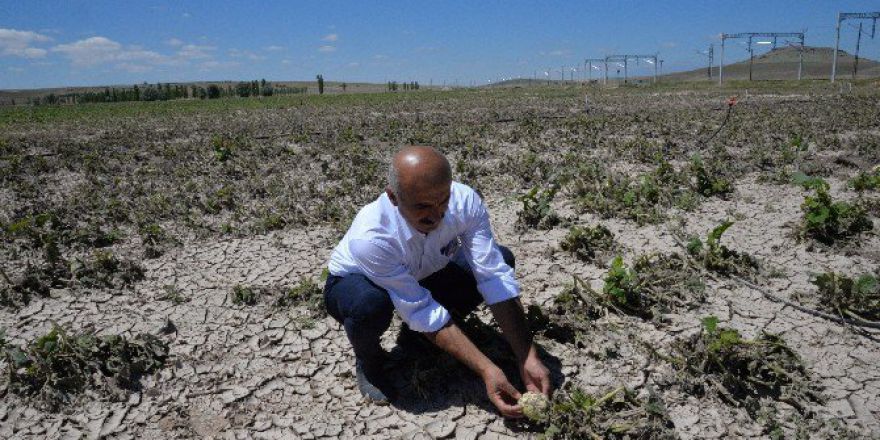 Kayseri Gıda Tarım Ve Hayvancılık İl Müdürlüğü Bir İlke İmza Attı