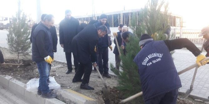 Silvan’ı Ağaçlandırma Projesi